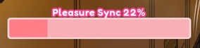 Pleasure Sync meter